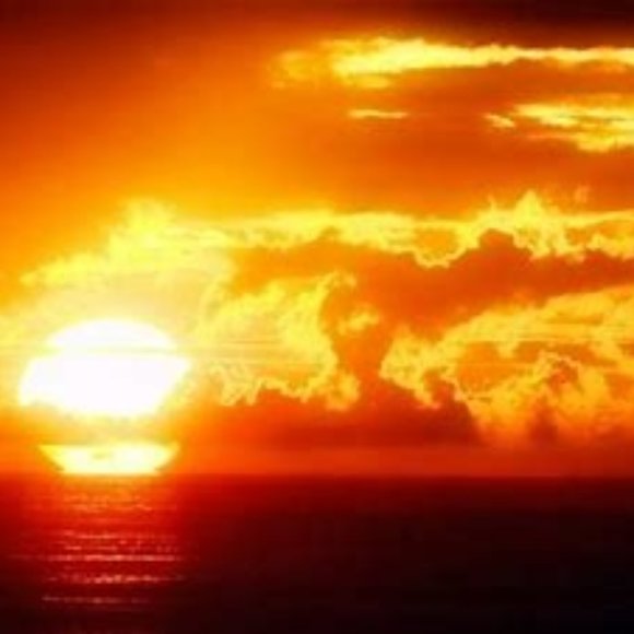 Meet your Posher, Vivianne - Picture 1 of 1